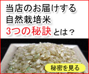 3つの秘密