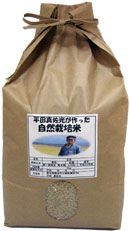 平田自然栽培米　玄米