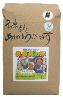 熊本県天草自然栽培米コシヒカリ